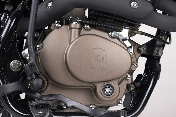 MOTOR